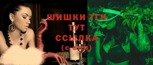 прущие грибы Мегион