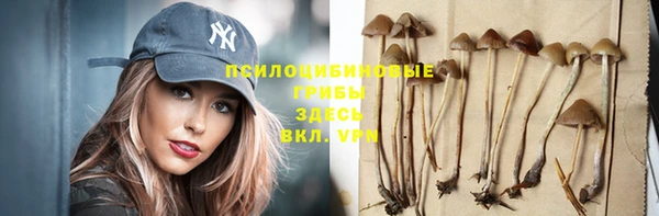 прущие грибы Мегион