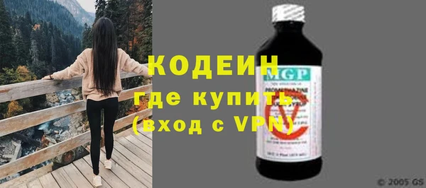 прущие грибы Мегион