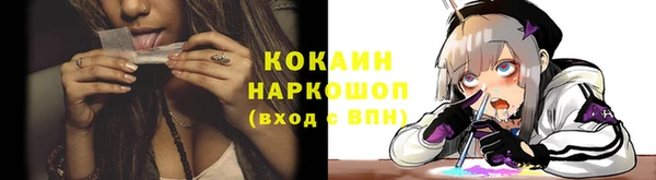 прущие грибы Мегион