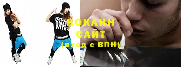 прущие грибы Мегион