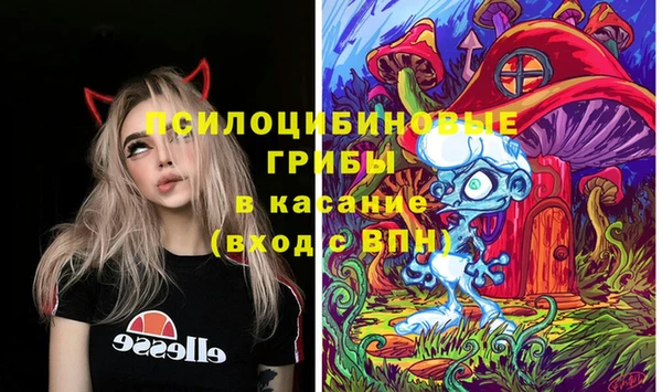 экстази Медвежьегорск