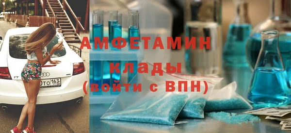прущие грибы Мегион