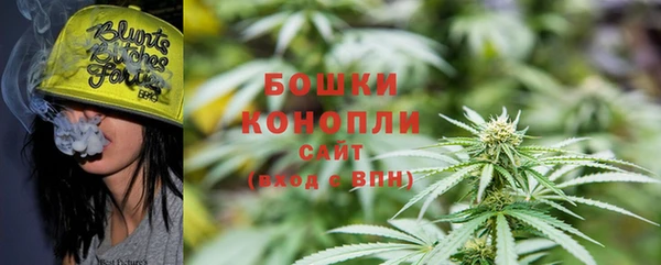 прущие грибы Мегион