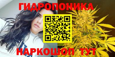 мескалин Гатчина