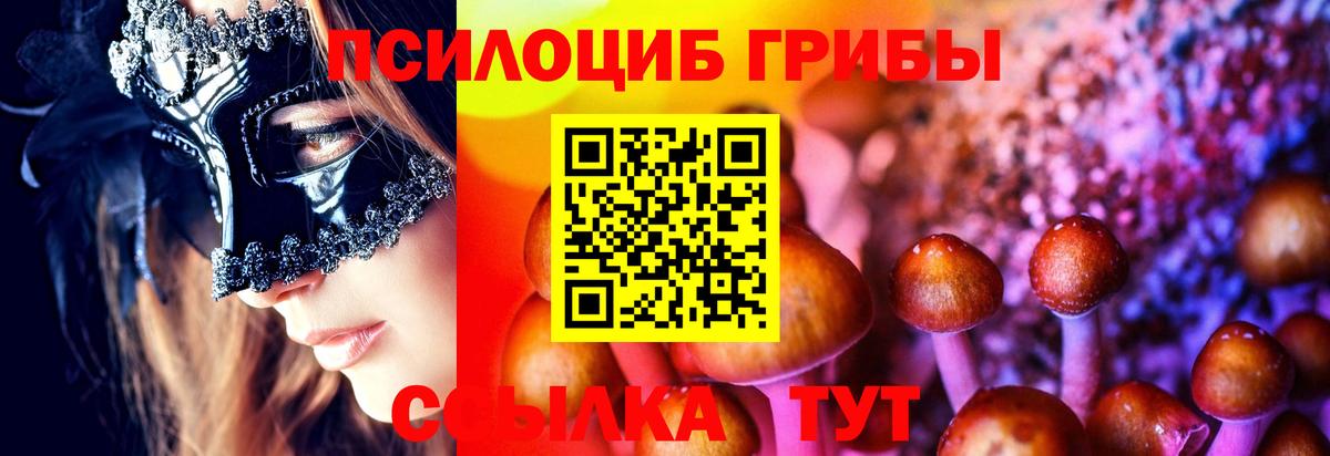 Галлюциногенные грибы мицелий Магадан