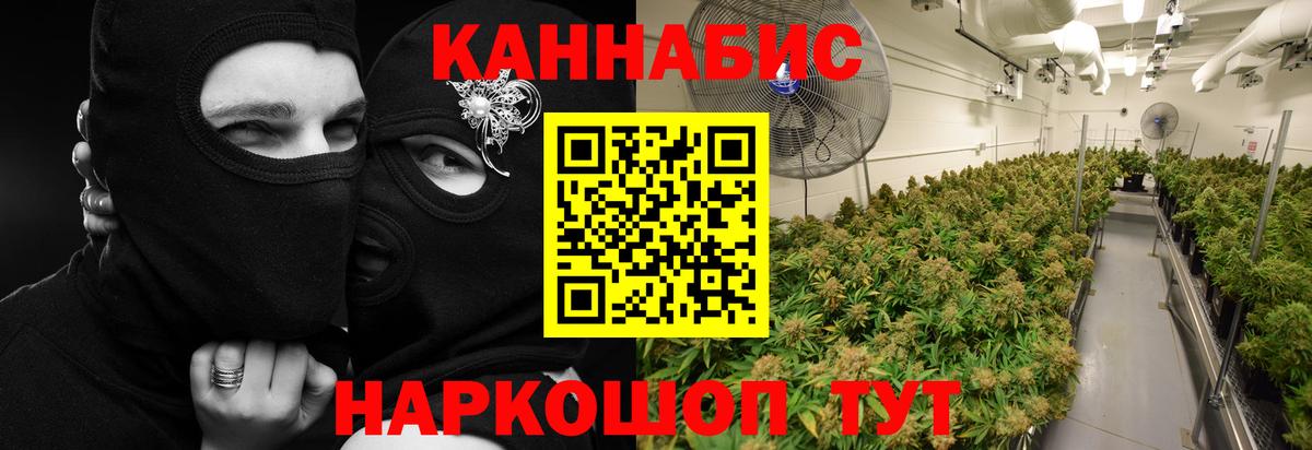 Бошки Шишки THC 21% Магадан